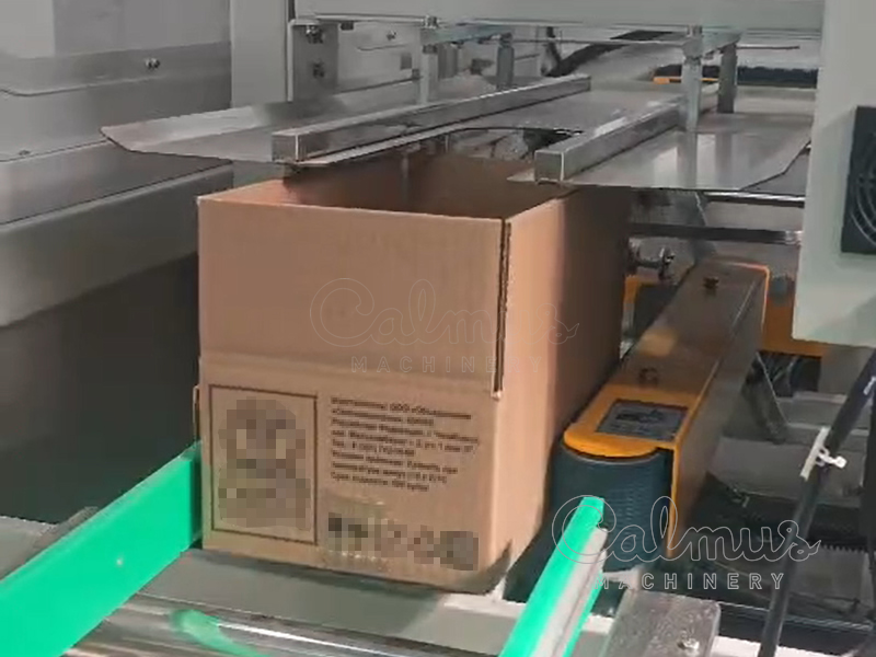 Aufgerichteter Karton - Großgebindeverpackung für Brötchen