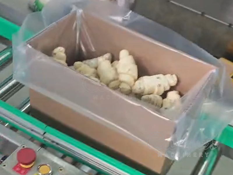 Beladene Bag-in-Box - Großgebindeverpackung für Brötchen