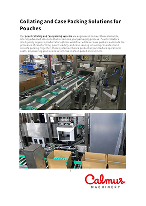 Brochure - Pouch Collating and Case Packing Systems