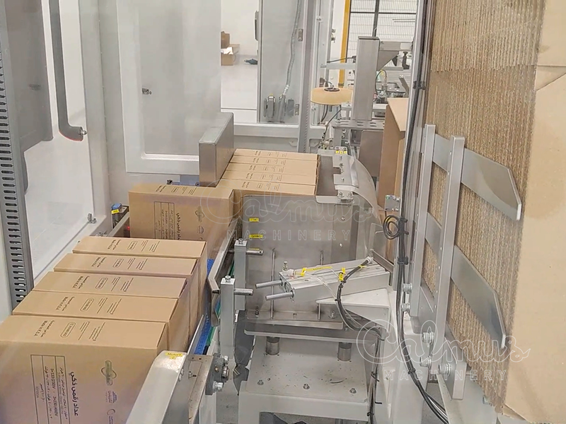 Casepacker voor elektriciteitsmeters