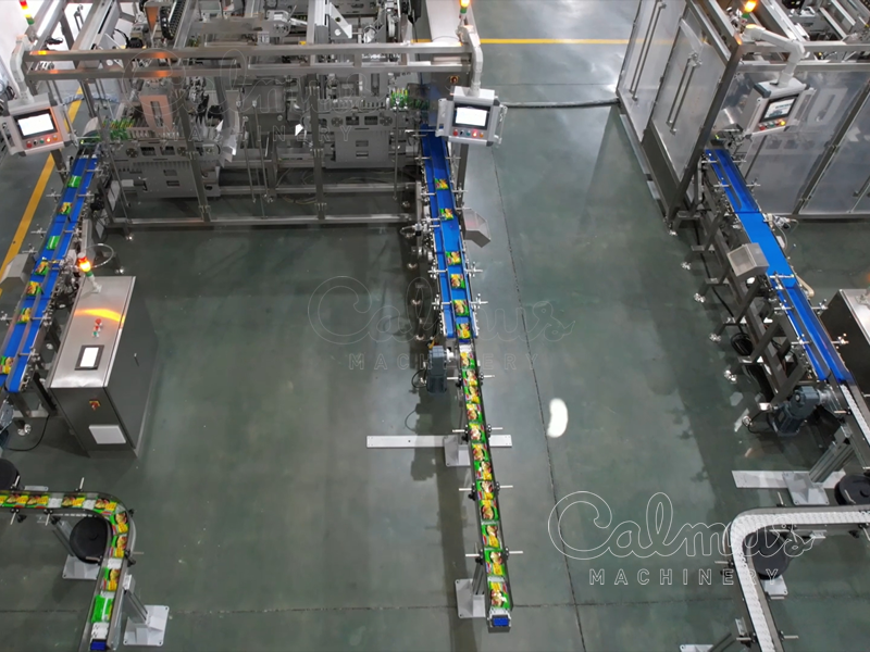 봉지라면 포장용 플로우 포장 및 케이스 포장 라인