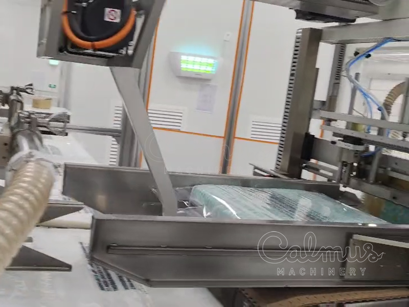 Pushing Bagged Diapers - Bagging and Packaging Machine