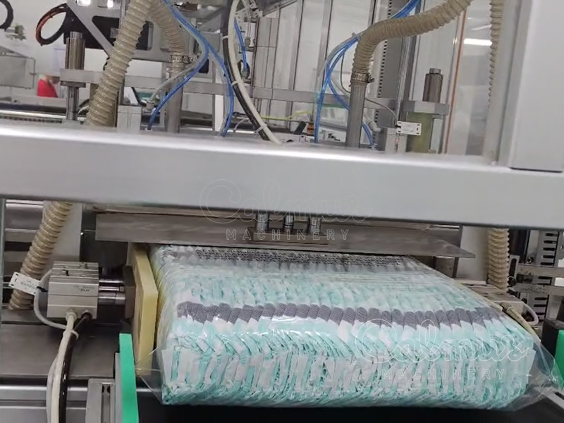Sealed Bag - Diaper Bagging and Packaging Machine