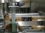Side Loading - Monoblock Case Packer