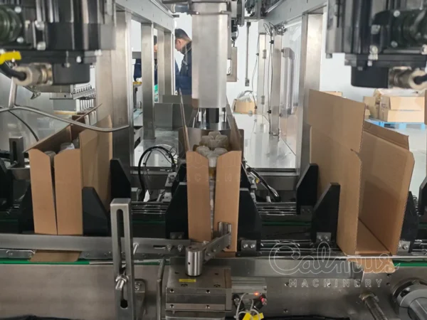 Umverpackungs-Kartoniermaschine für Standbeutel WIS300C