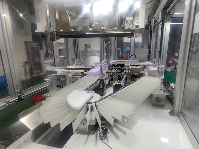 Комплектация-прокладок - Упаковочная-машина-гигиенических-салфеток